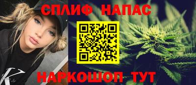 шишки Саянск