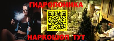 шишки Саянск