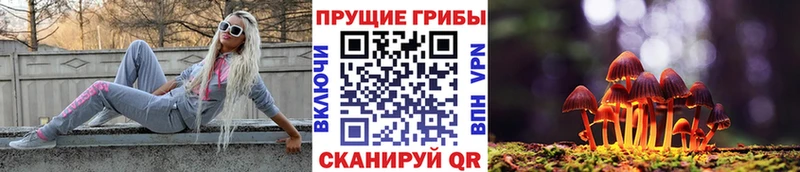 магазин  наркотиков  Асино  кракен зеркало  Псилоцибиновые грибы MAGIC MUSHROOMS 