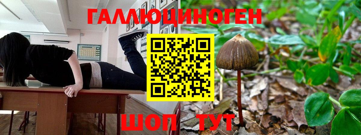 купить наркотики сайты  Псилоцибиновые грибы Magic Shrooms  Вход с VPN  Асино  Псилоцибиновые грибы мицелий 